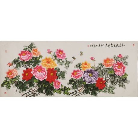 Peony - CNAG004227