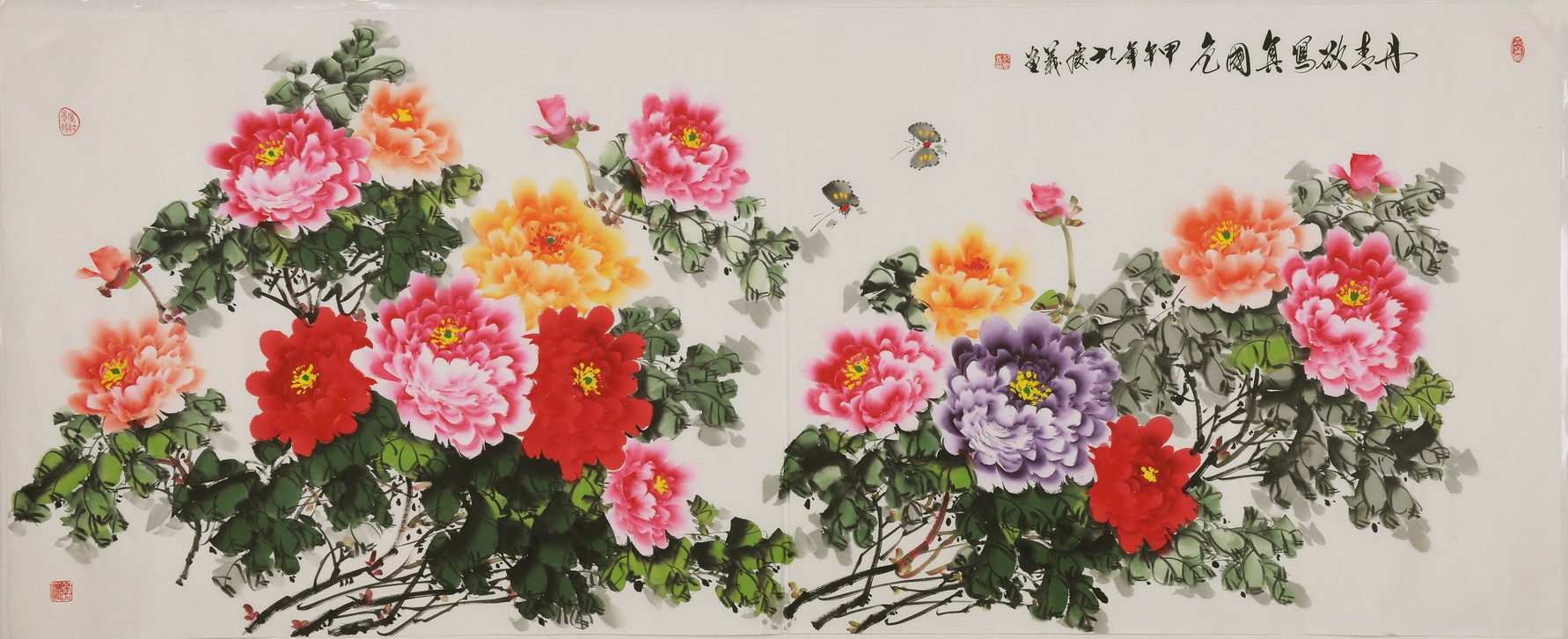 Peony - CNAG004227