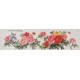 Peony - CNAG004231