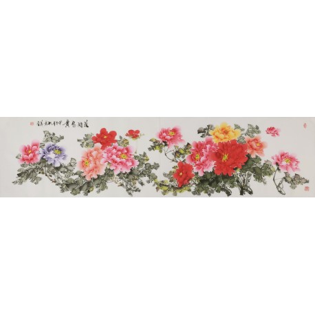 Peony - CNAG004231