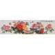 Peony - CNAG004232