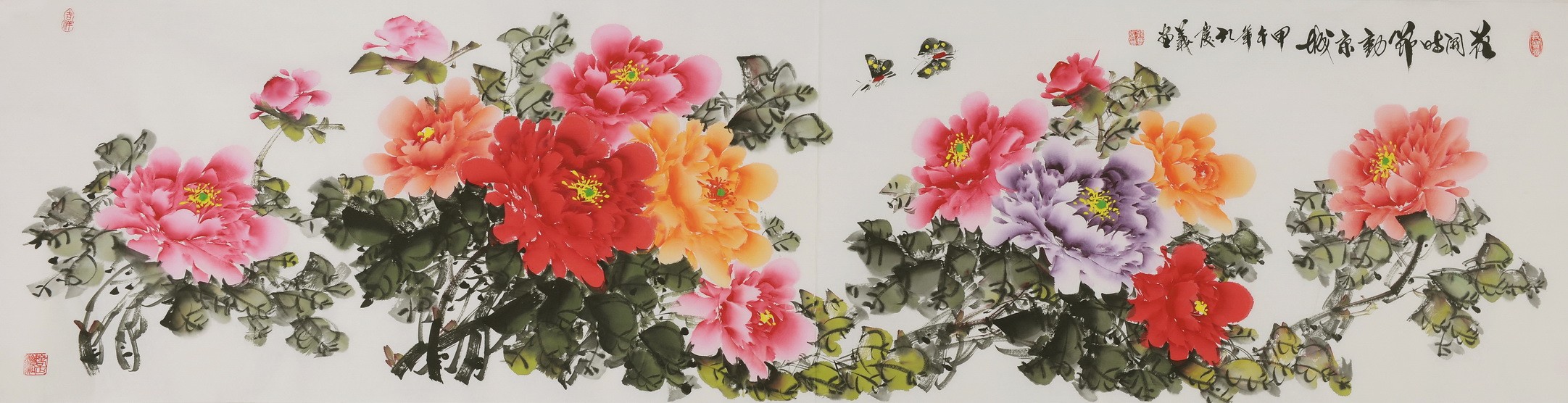 Peony - CNAG004232