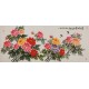 Peony - CNAG004233