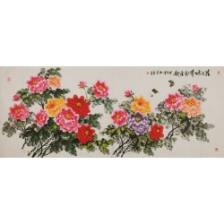Peony - CNAG004233