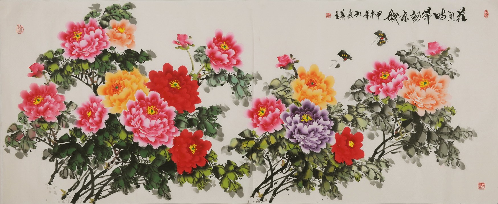Peony - CNAG004233