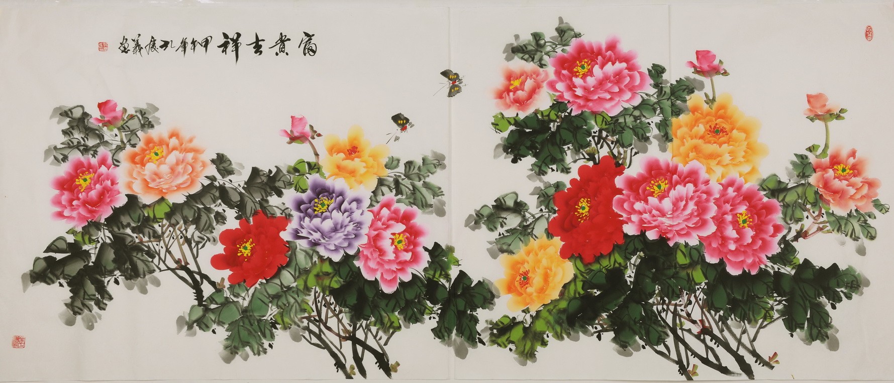 Peony - CNAG004234