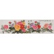 Peony - CNAG004235