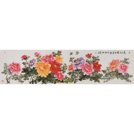 Peony - CNAG004235