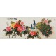 Peony - CNAG004236