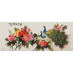 Peony - CNAG004236