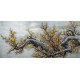 Plum - CNAG004241