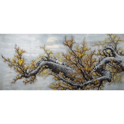 Plum - CNAG004241