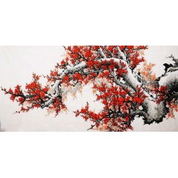 Plum - CNAG004242