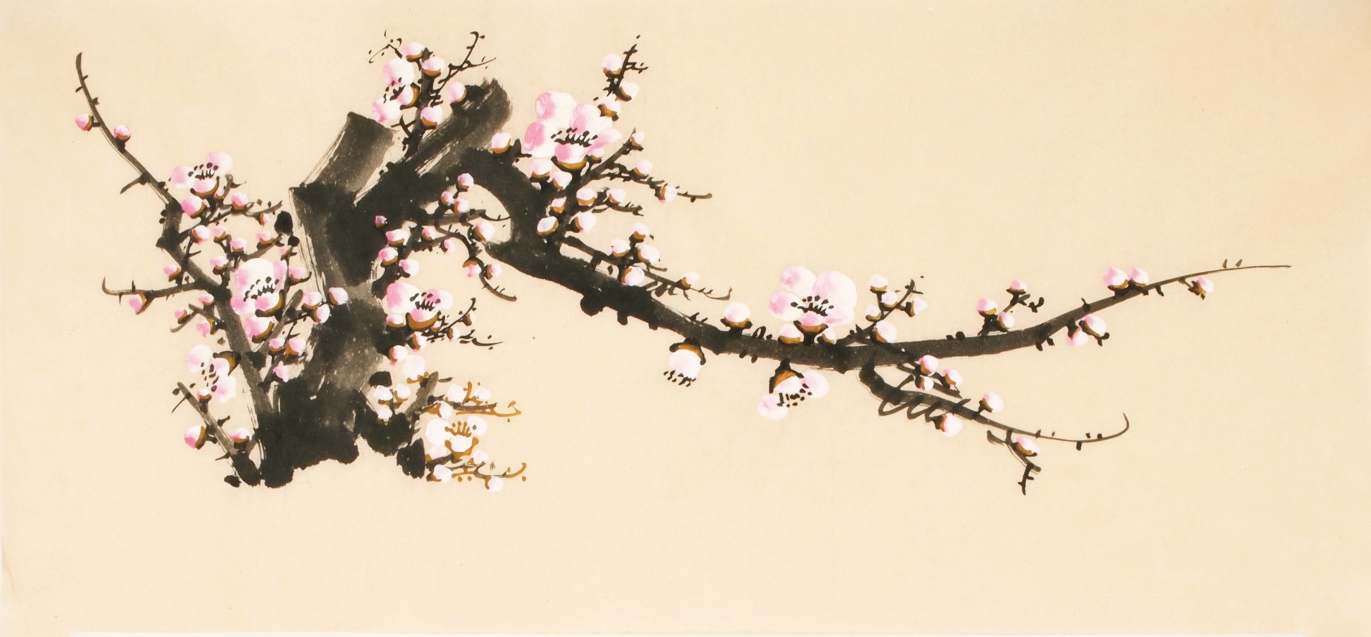 Plum - CNAG004243
