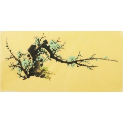 Plum - CNAG004244