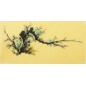 Plum - CNAG004244