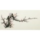 Plum - CNAG004245