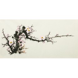 Plum - CNAG004245