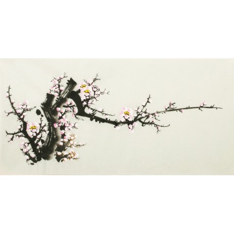 Plum - CNAG004245