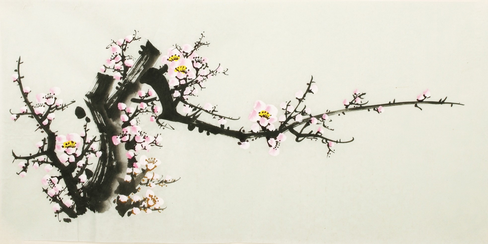 Plum - CNAG004245