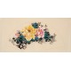 Peony - CNAG004249