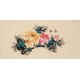 Peony - CNAG004256