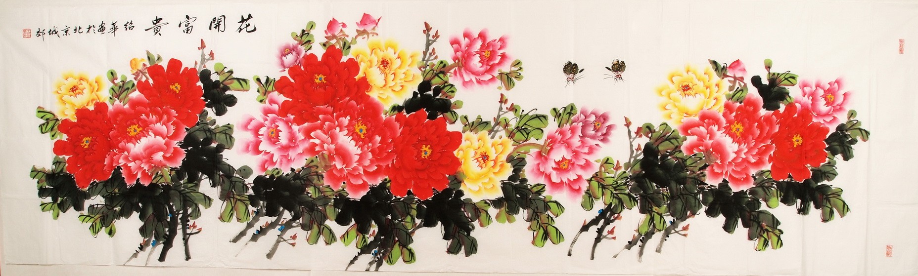 Peony - CNAG004260