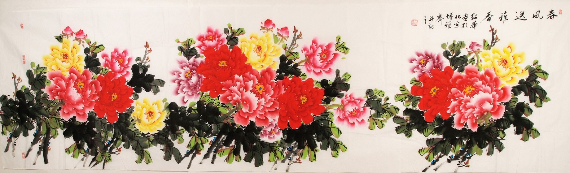 Peony - CNAG004262