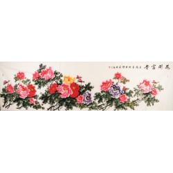 Peony - CNAG004263