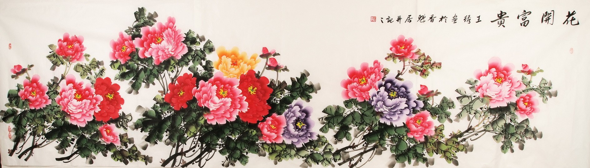 Peony - CNAG004263
