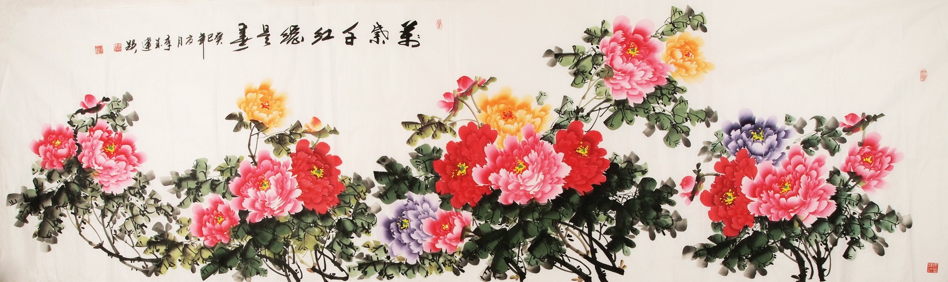 Peony - CNAG004265