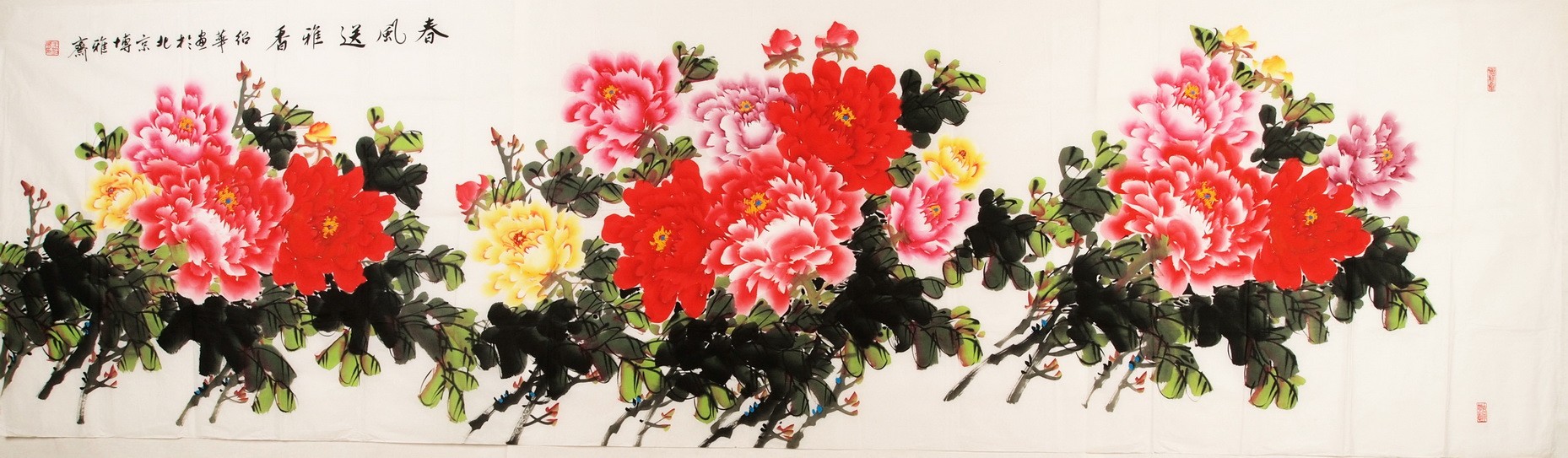 Peony - CNAG004266