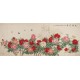 Peony - CNAG004269