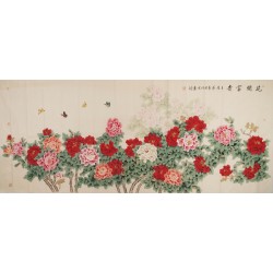 Peony - CNAG004269