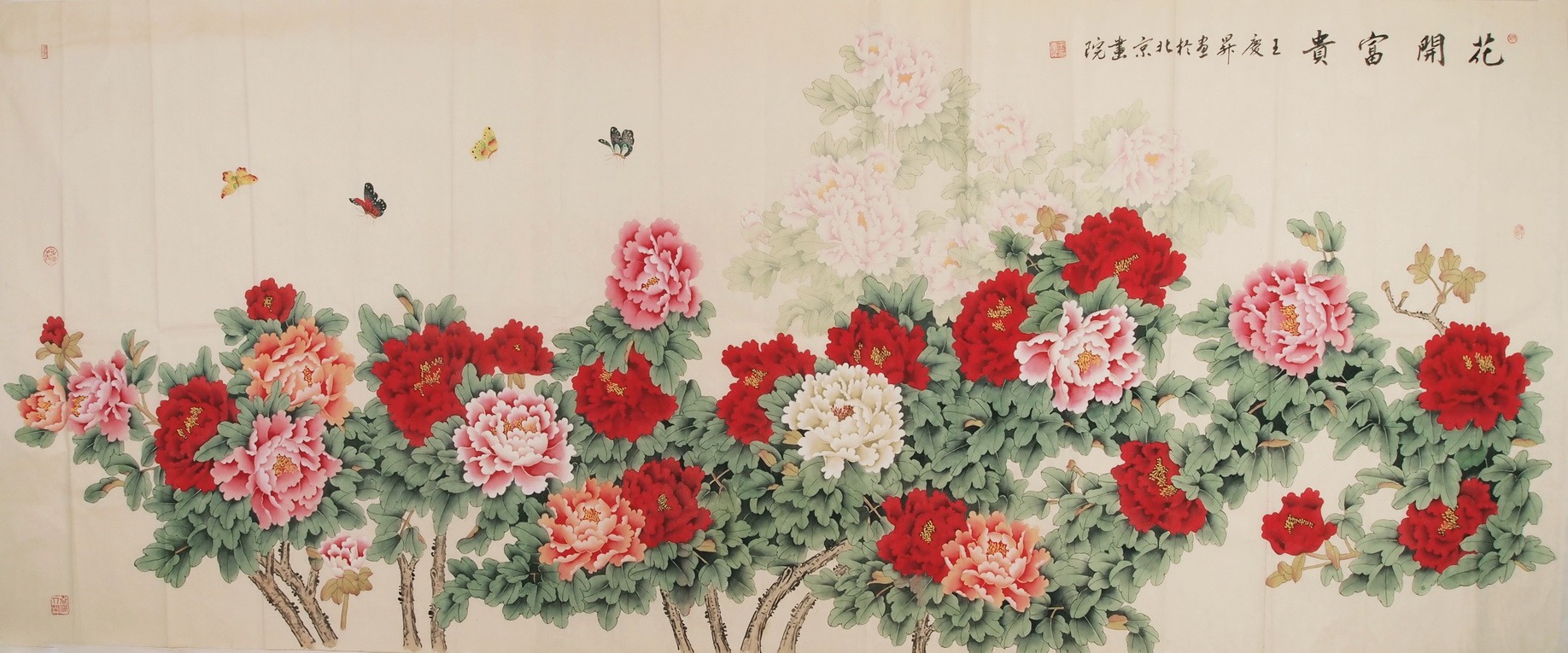 Peony - CNAG004269