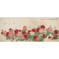 Peony - CNAG004271