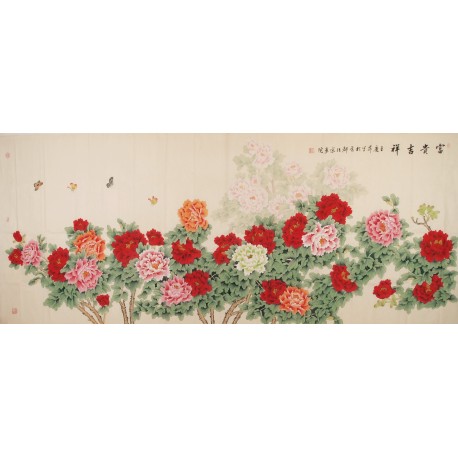 Peony - CNAG004271