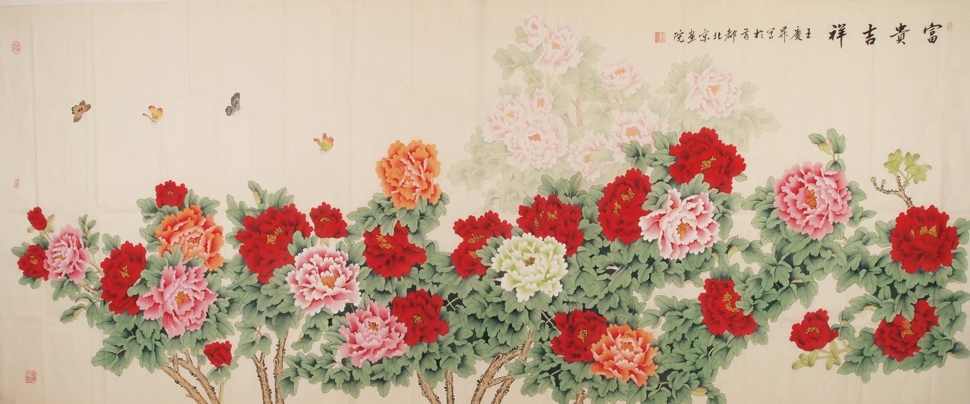 Peony - CNAG004271