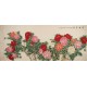 Peony - CNAG004272
