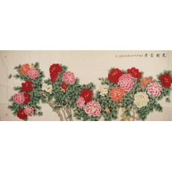 Peony - CNAG004272