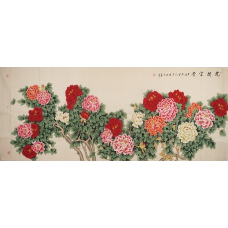 Peony - CNAG004272