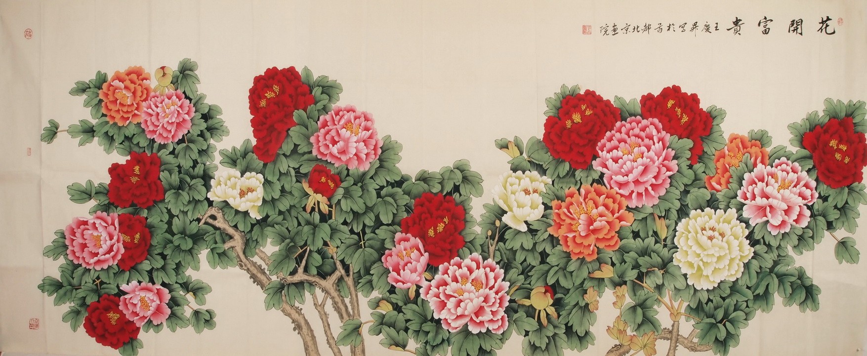 Peony - CNAG004272