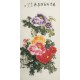 Peony - CNAG000428