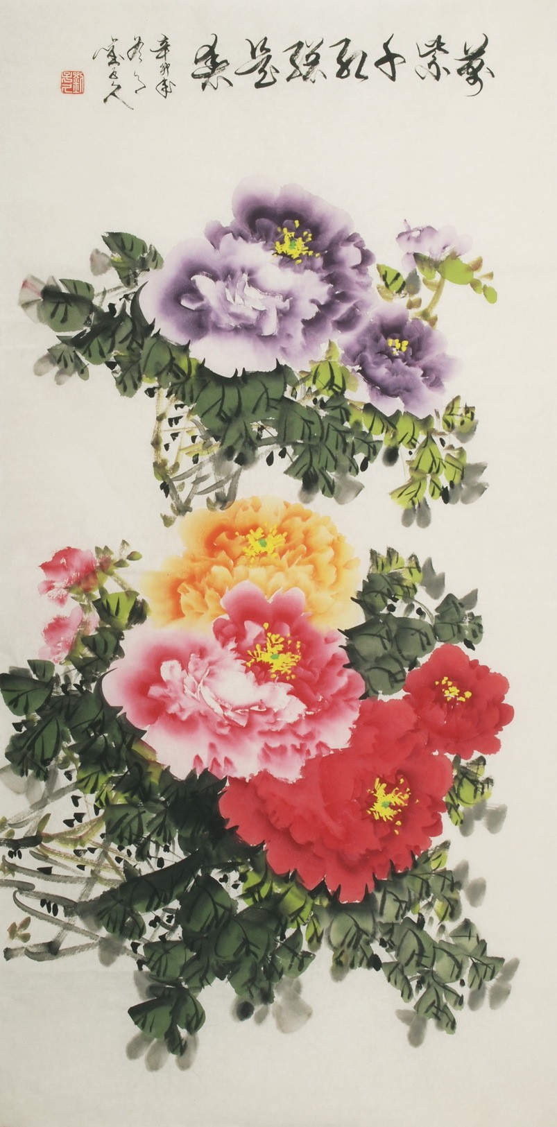 Peony - CNAG000428