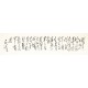 Cursive Scripts - CNAG004286