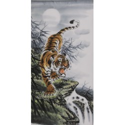 Tiger - CNAG000043