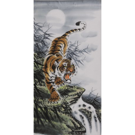 Tiger - CNAG000043