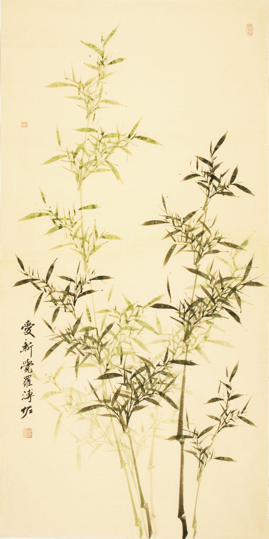 Green Bamboo - CNAG000432