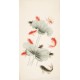 Fish - CNAG000433