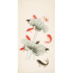 Fish - CNAG000433